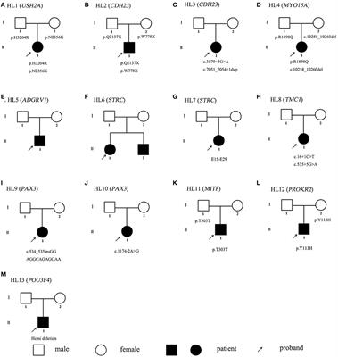 Molecular etiology study of hearing loss in 13 Chinese Han families